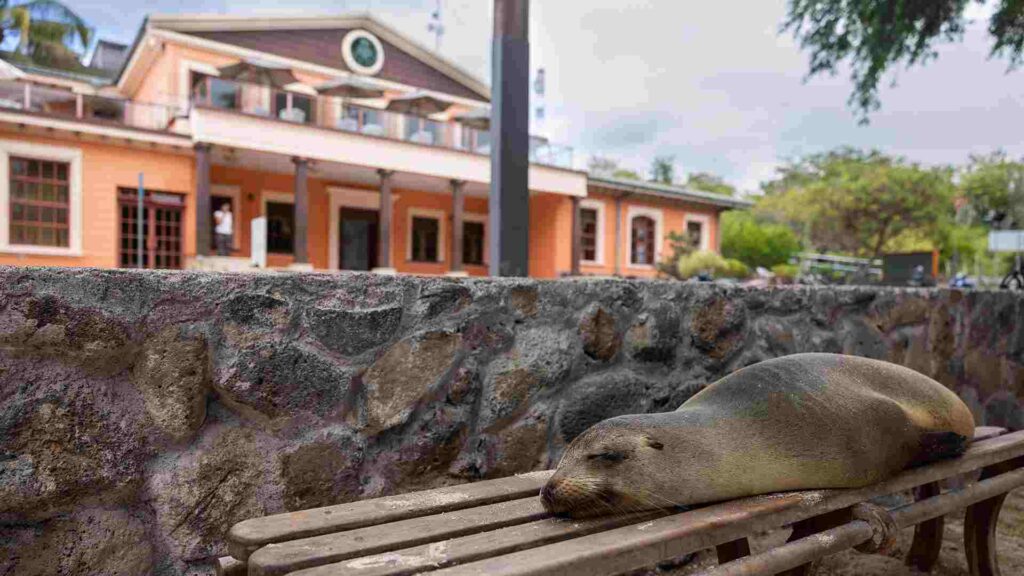 La sede de la USFQ en Galápagos se ubica en la isla Santa Cruz; una de sus carreras es Biología. (FOTO: USFQ)