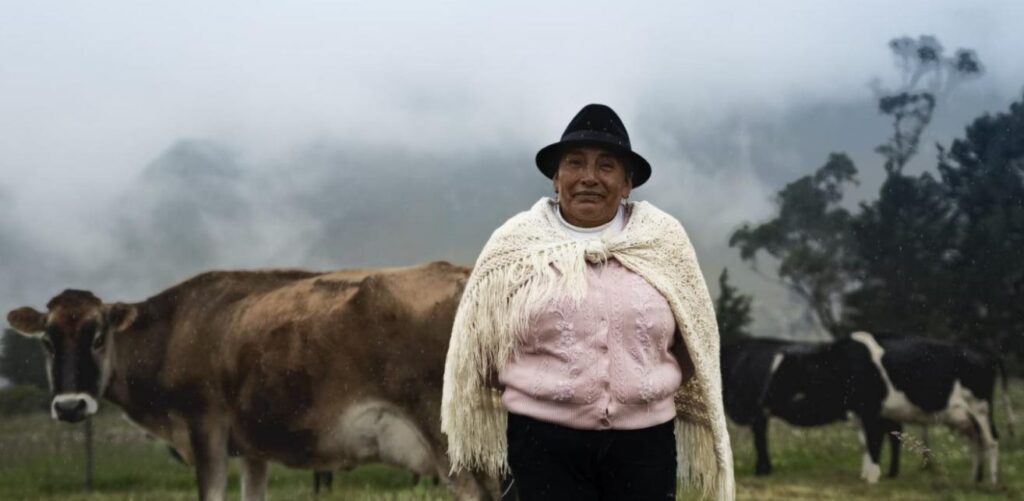 Ganadera ecuatoriana que provee de leche a la planta industrial de la compañía. (Alpina)